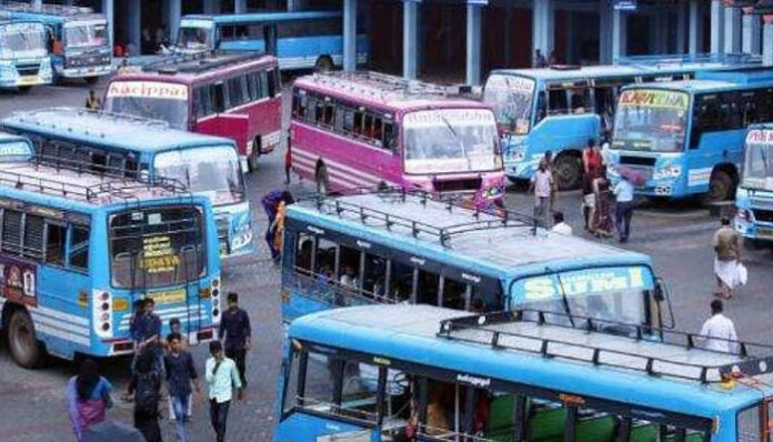 bus