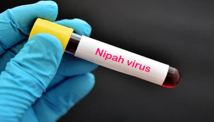 nipa