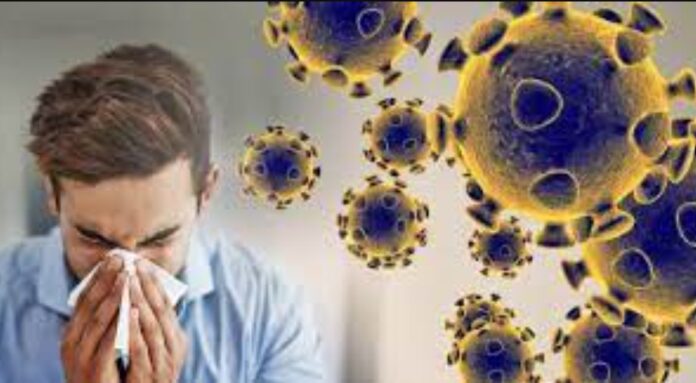 shigella